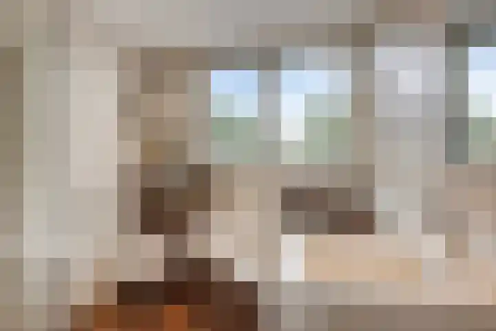 Europalaan 43 Epe thumbnail 37