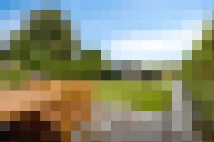 Europalaan 43 Epe thumbnail 44