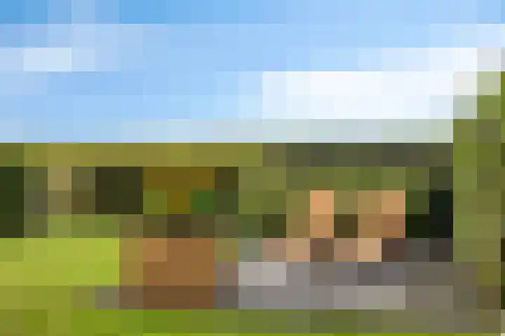 Europalaan 43 Epe thumbnail 46