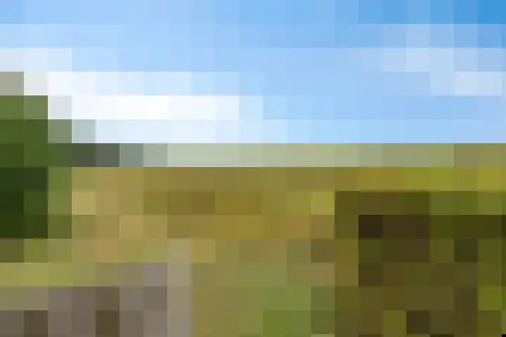 Europalaan 43 Epe thumbnail 48