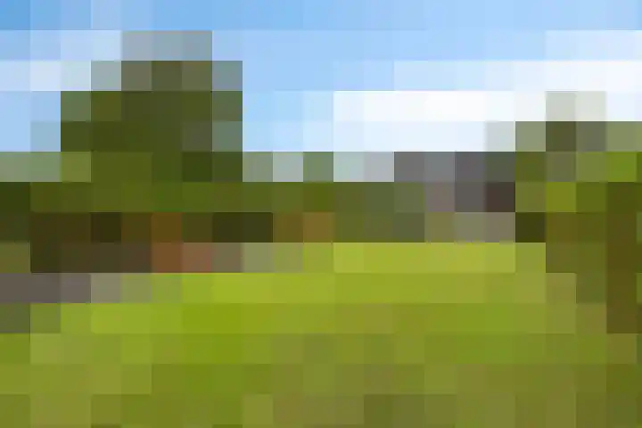 Europalaan 43 Epe thumbnail 49
