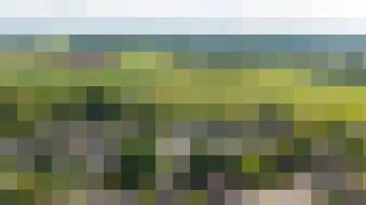 Europalaan 43 Epe thumbnail 56