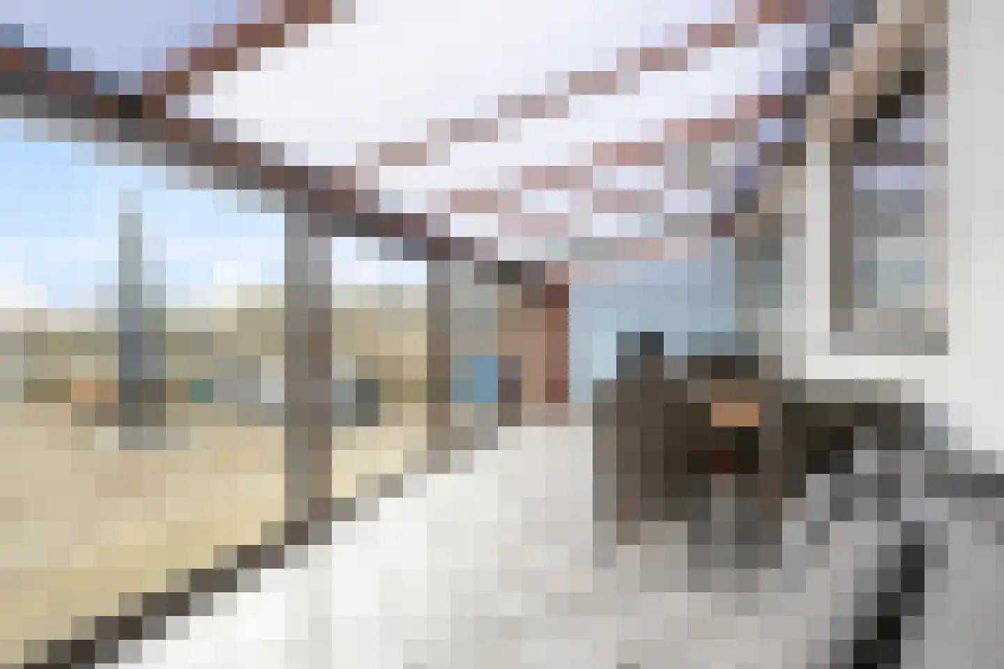 Europalaan 43 Gendt thumbnail 11