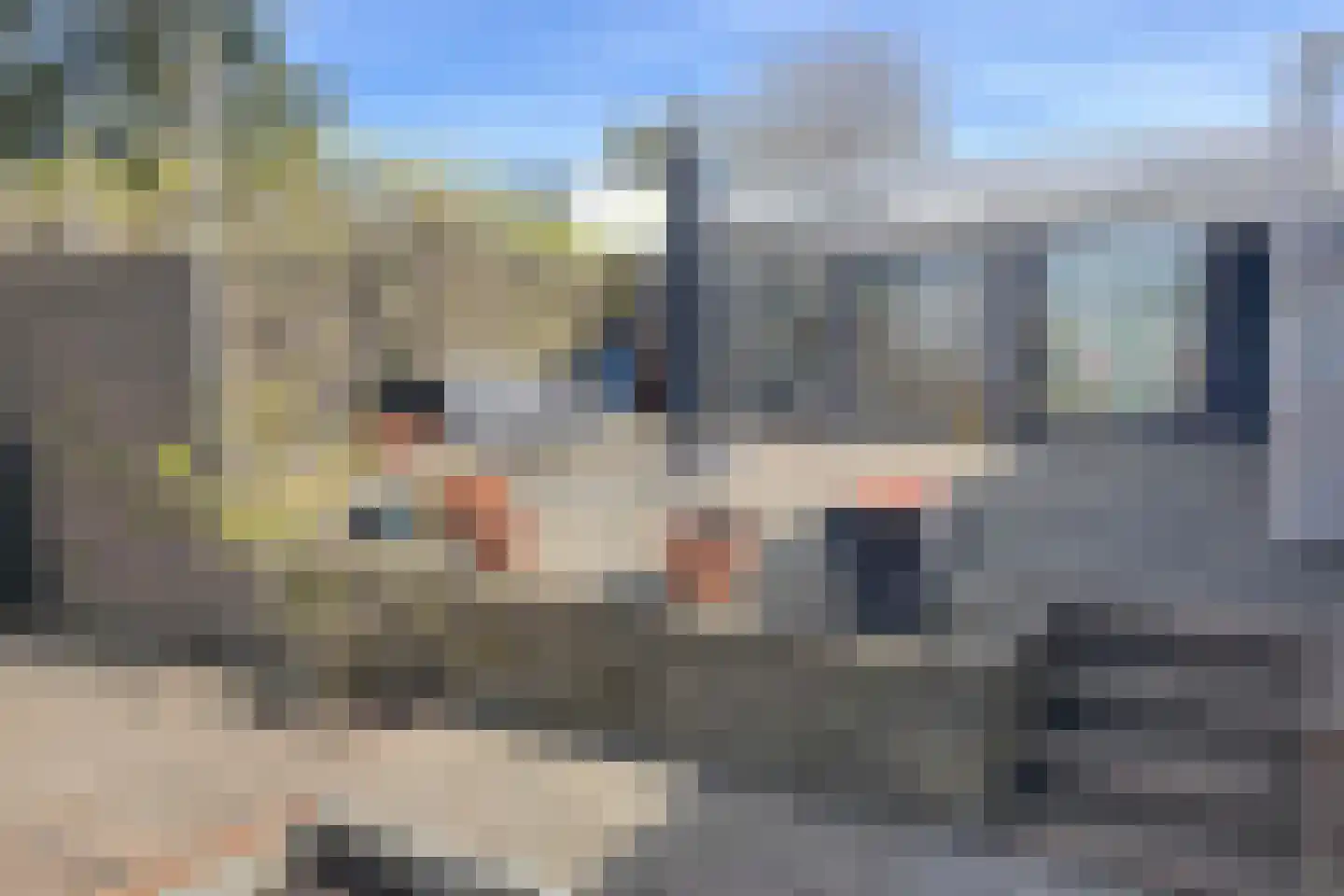 Europalaan 43 Gendt thumbnail 15