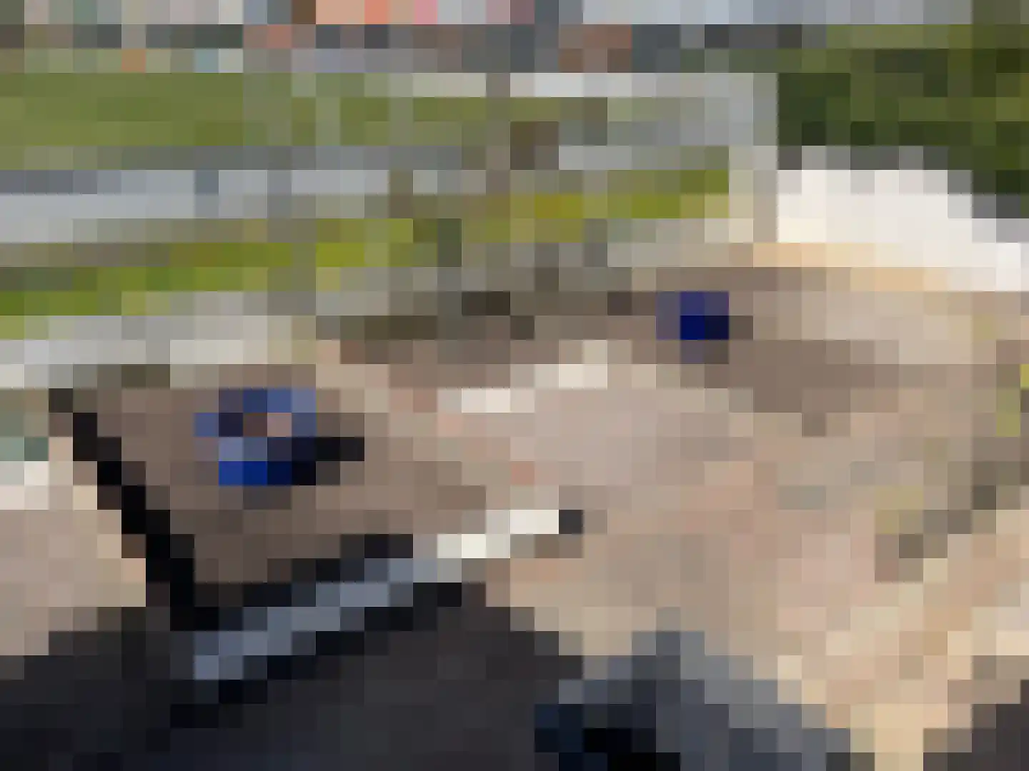 Europalaan 43 Gendt thumbnail 16
