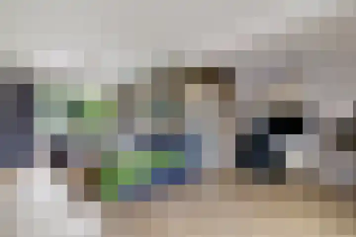 Europalaan 43 Heerenveen thumbnail 18