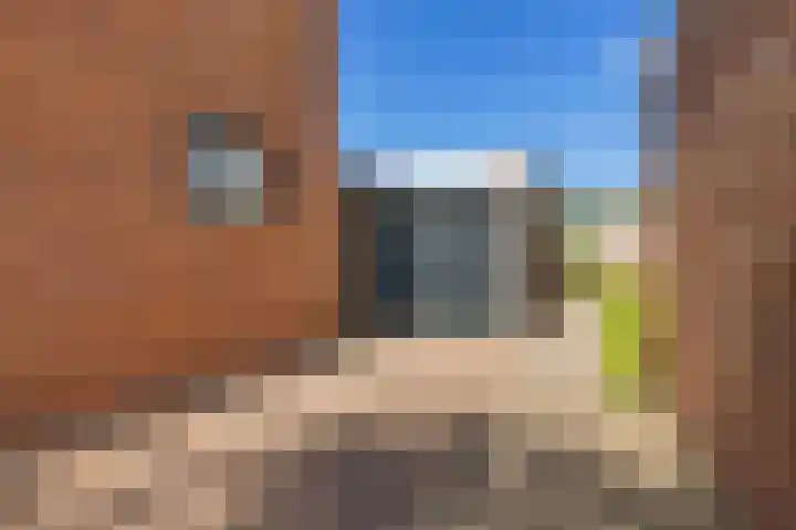 Europalaan 43 Heerenveen thumbnail 32