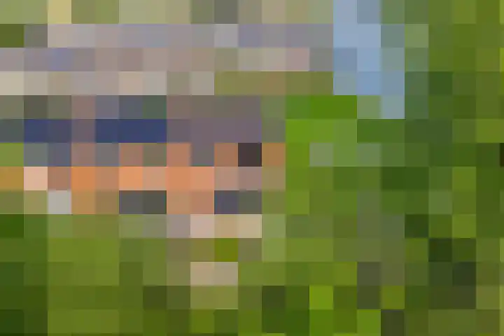 Europalaan 43 Heerenveen thumbnail 34