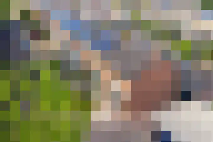 Europalaan 43 Heerenveen thumbnail 35