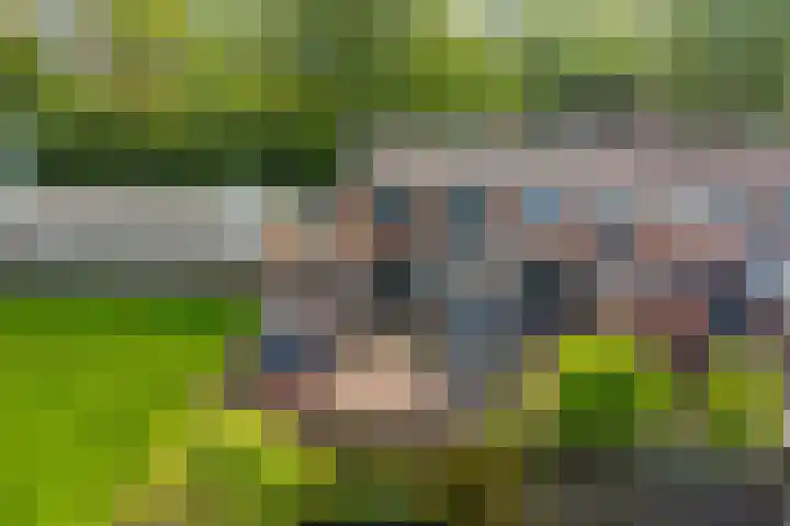 Europalaan 43 Heerenveen thumbnail 38