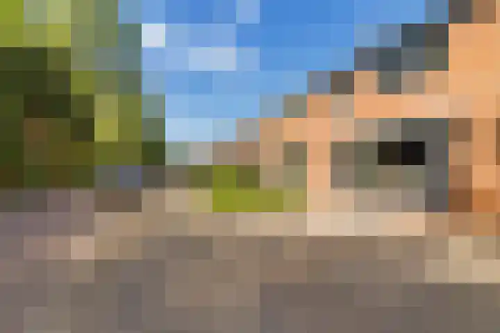 Europalaan 43 Heerenveen thumbnail 7