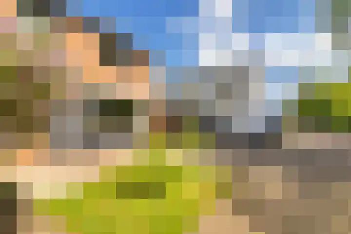 Europalaan 43 Heerenveen thumbnail 8
