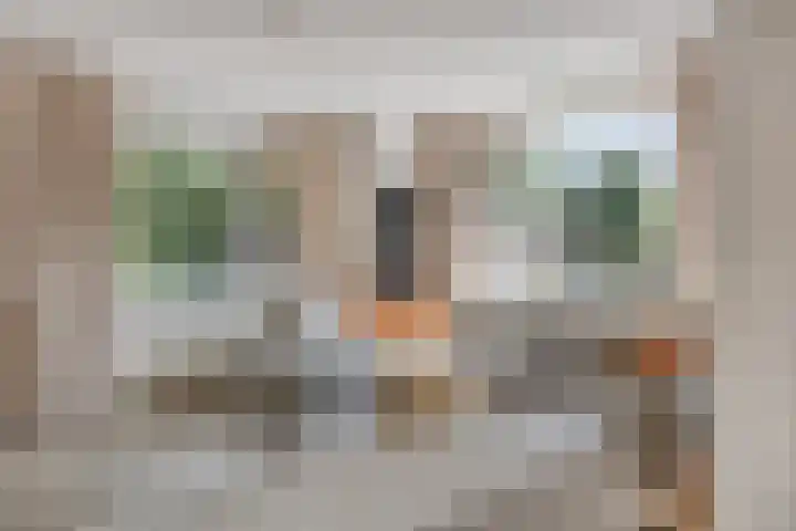 Europalaan 461 Tilburg thumbnail 12