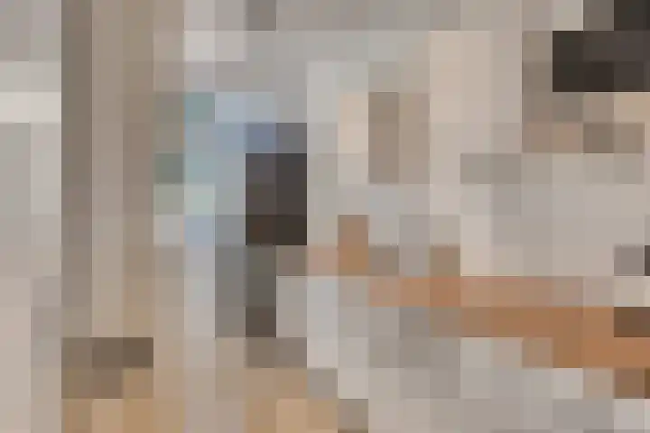 Europalaan 461 Tilburg thumbnail 19