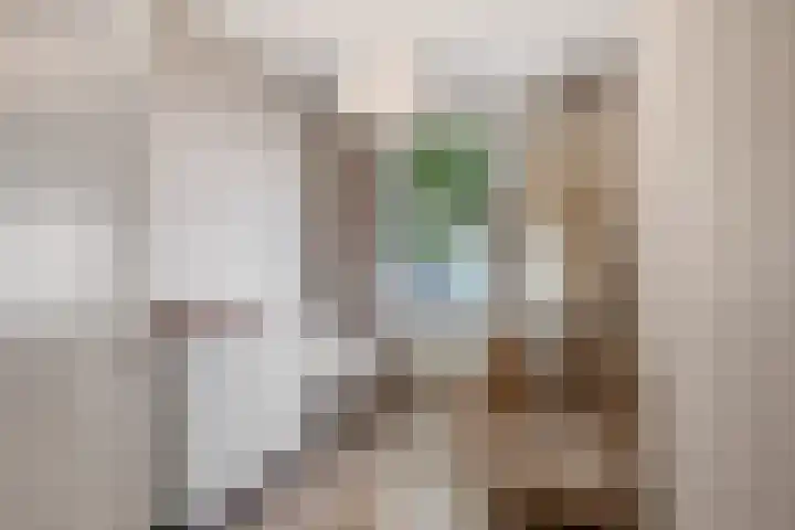Europalaan 461 Tilburg thumbnail 28