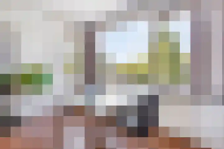 Europalaan 469 Tilburg thumbnail 12