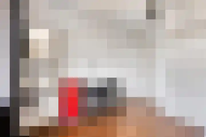 Europalaan 469 Tilburg thumbnail 14