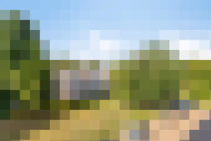 Europalaan 469 Tilburg thumbnail 17