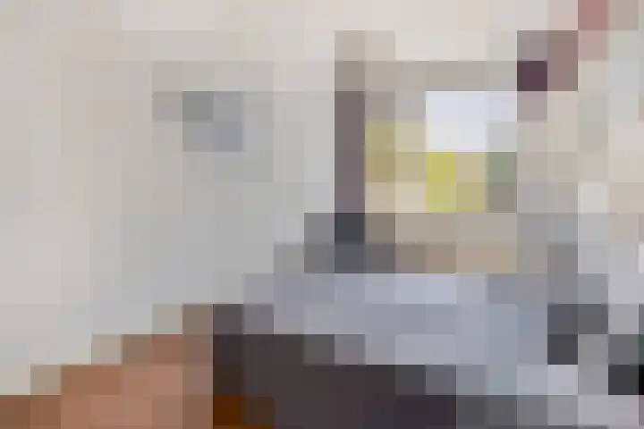Europalaan 469 Tilburg thumbnail 20