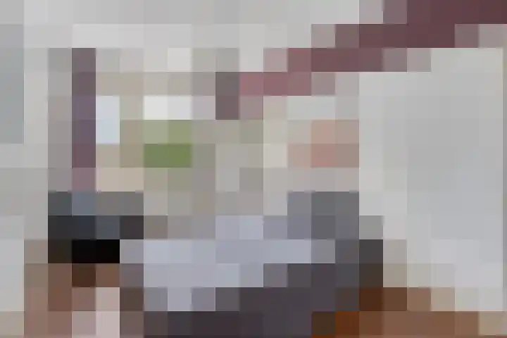 Europalaan 469 Tilburg thumbnail 21