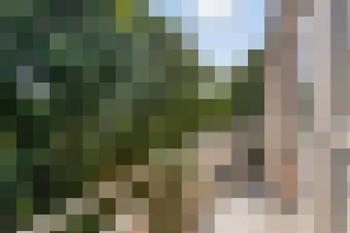 Europalaan 469 Tilburg thumbnail 32