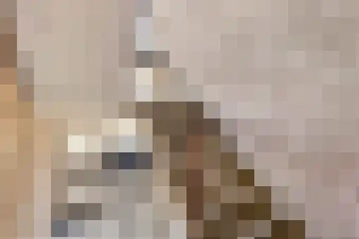 Europalaan 469 Tilburg thumbnail 36