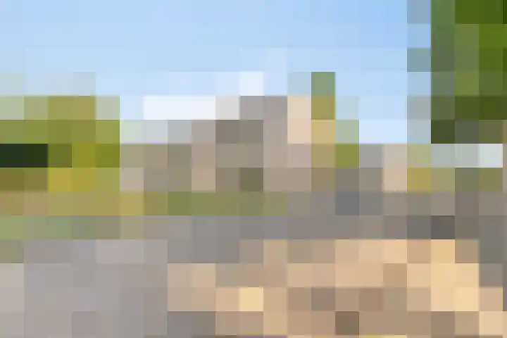 Europalaan 469 Tilburg thumbnail 38