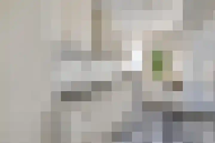 Europalaan 469 Tilburg thumbnail 4