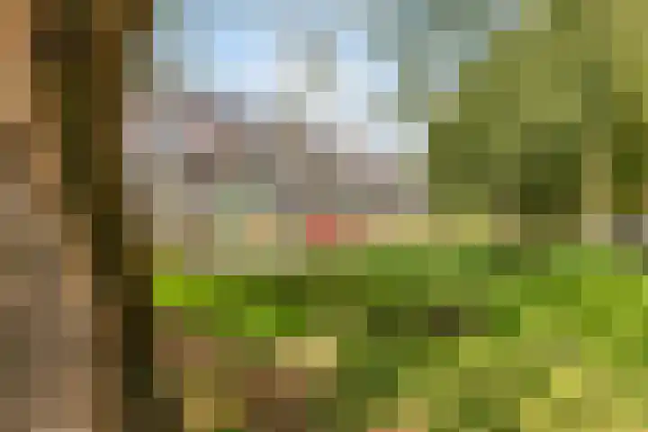 Europalaan 469 Tilburg thumbnail 43