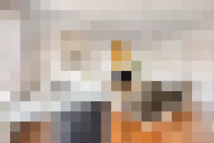 Europalaan 469 Tilburg thumbnail 8