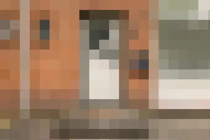 Europalaan 47 Heerenveen thumbnail 10