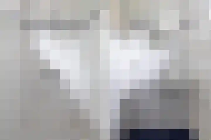 Europalaan 47 Heerenveen thumbnail 30