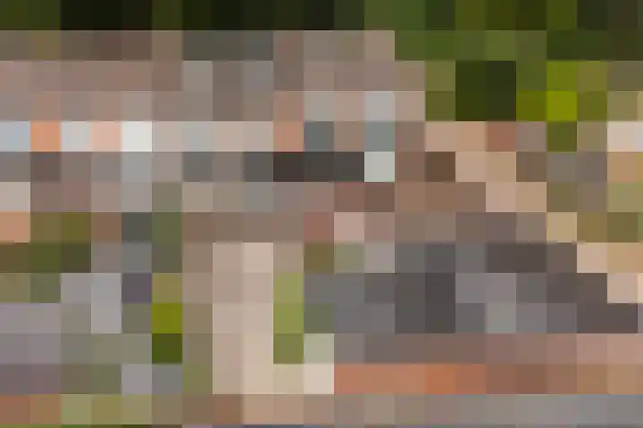 Europalaan 47 Heerenveen thumbnail 36