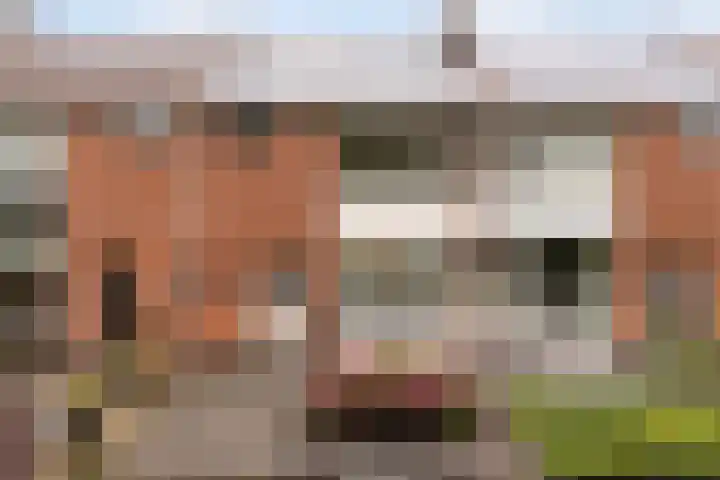 Europalaan 47 Heerenveen thumbnail 45