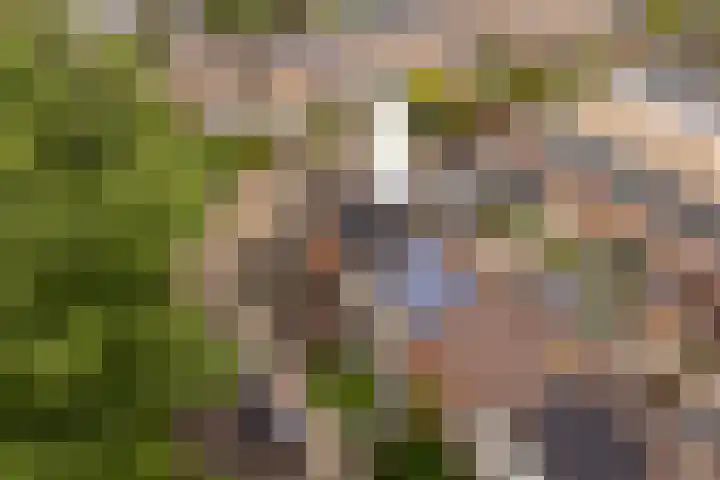 Europalaan 47 Heerenveen thumbnail 5