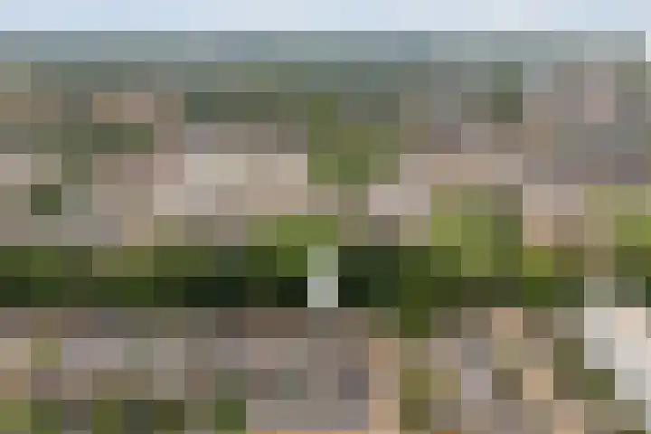 Europalaan 47 Heerenveen thumbnail 6