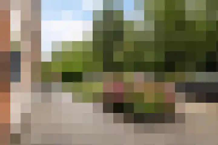 Europalaan 47 Heerenveen thumbnail 9