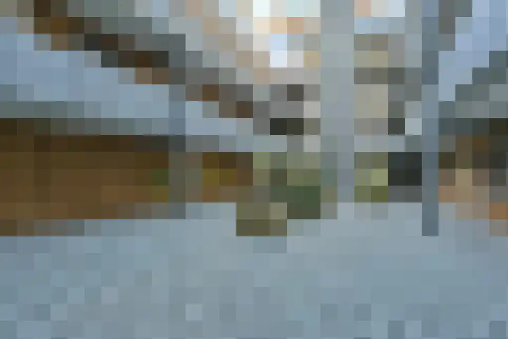 Europalaan 5 Eindhoven thumbnail 4