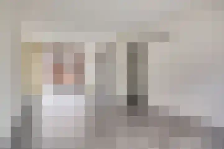 Europalaan 51 Sas van Gent thumbnail 5