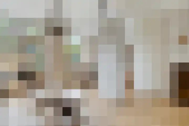 Europalaan 52 Goes thumbnail 10