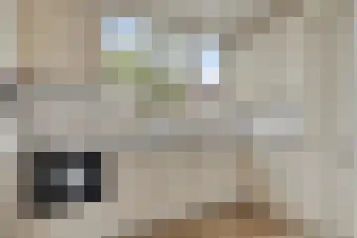 Europalaan 52 Goes thumbnail 12