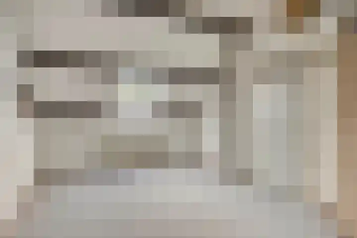 Europalaan 52 Goes thumbnail 22