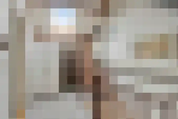 Europalaan 52 Goes thumbnail 23