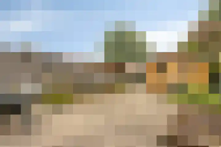Europalaan 52 Goes thumbnail 25
