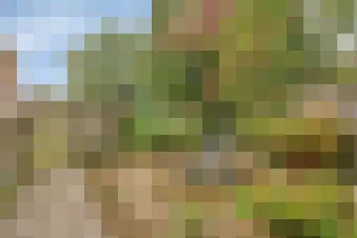 Europalaan 52 Goes thumbnail 26