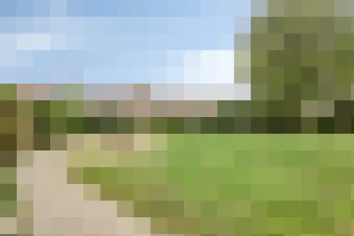 Europalaan 52 Goes thumbnail 27