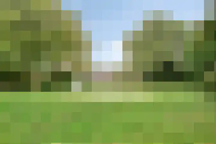 Europalaan 52 Goes thumbnail 28