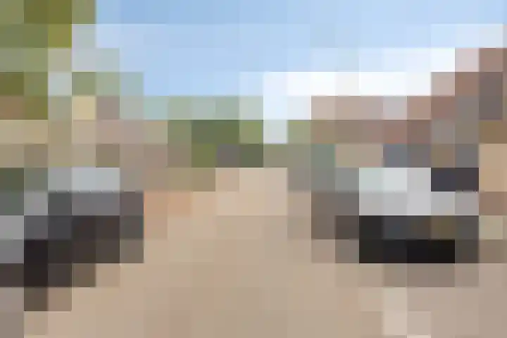 Europalaan 52 Goes thumbnail 30