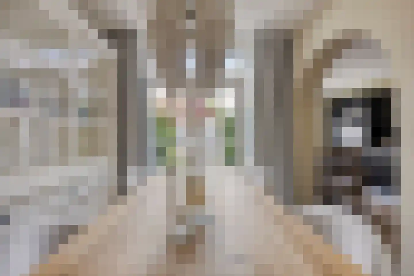Europalaan 52 Nieuwerkerk aan den IJssel thumbnail 13