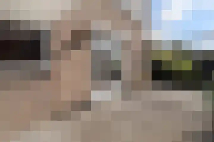 Europalaan 53 Maastricht thumbnail 22